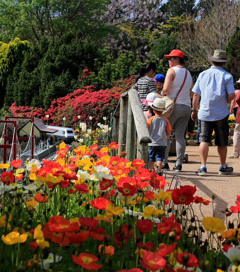 코킹턴 그린 가든스