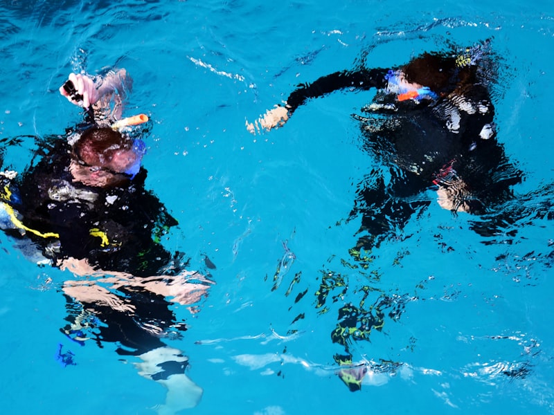 그레이트 배리어 리프 다이빙 투어