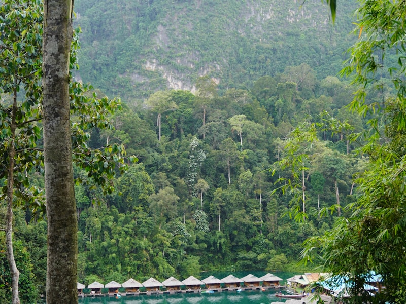 쿠란다 시닉 레일웨이 편도 티켓
