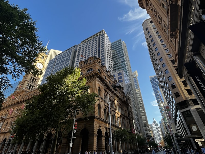 시드니 역사 워킹 투어 (한국어)