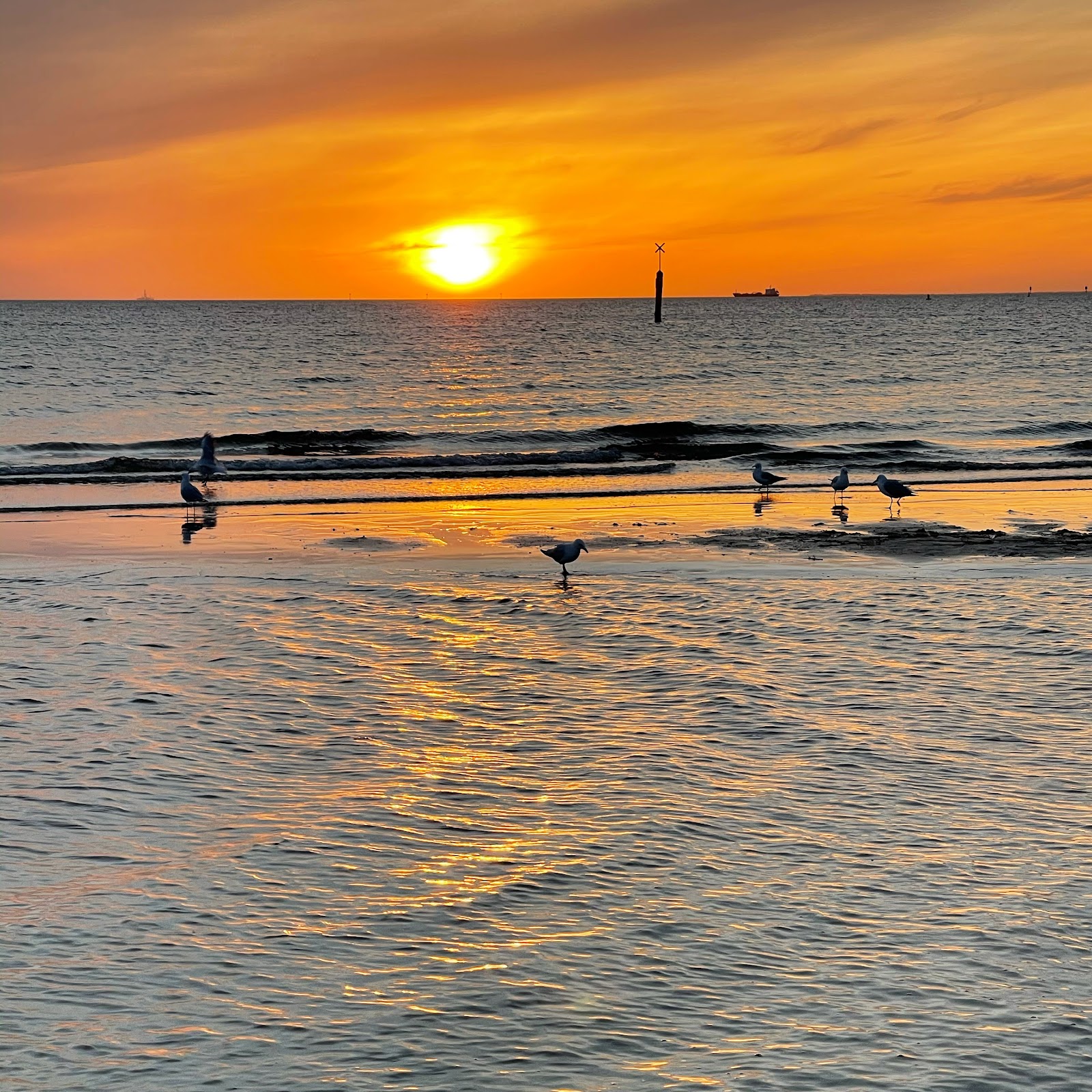 세인트 킬다 비치