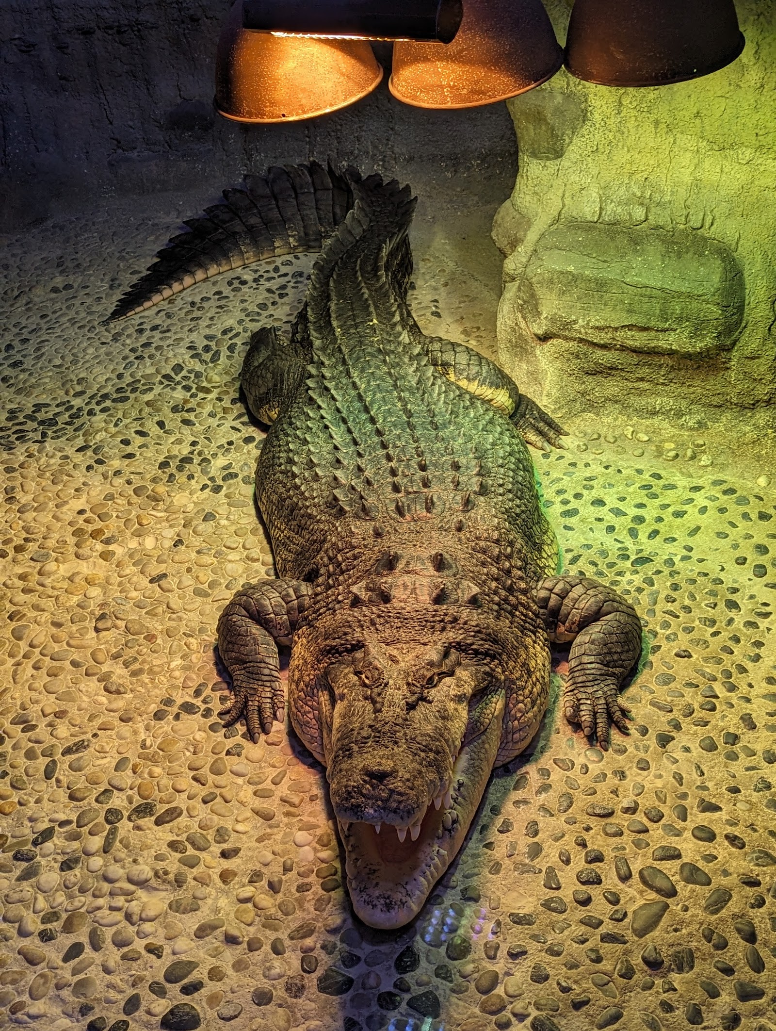 씨라이프 멜버른