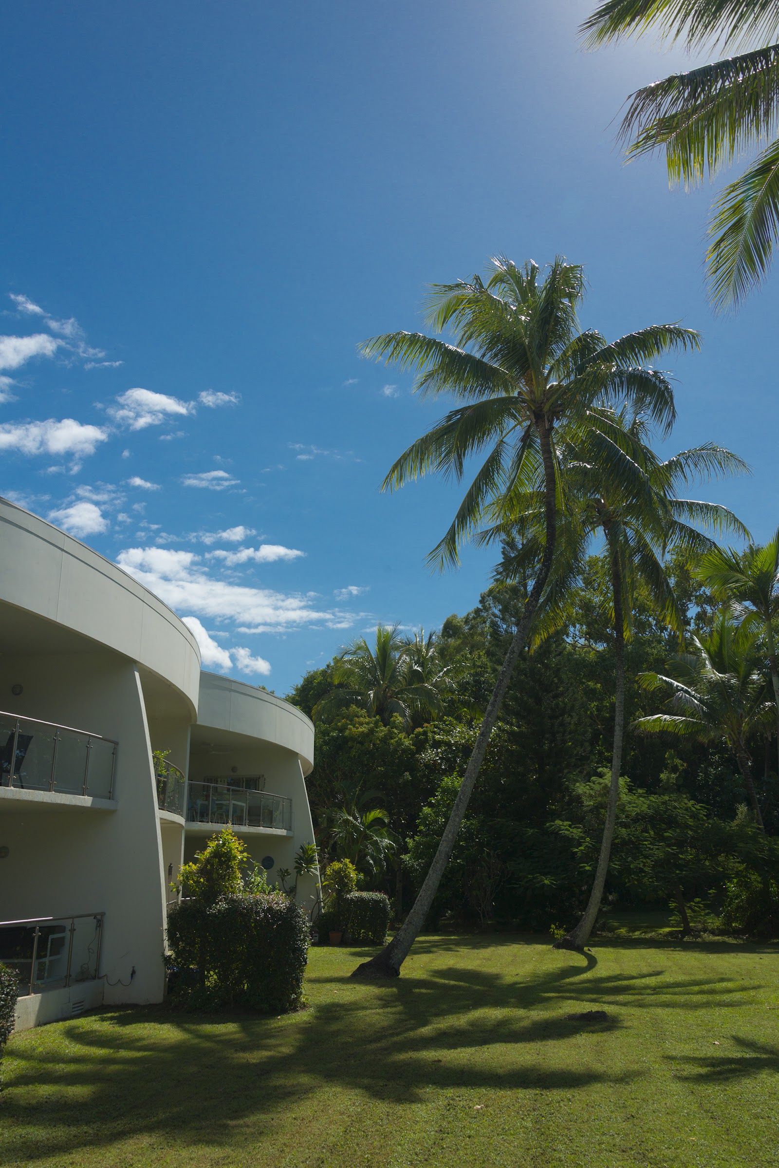 그레이트 배리어 리프