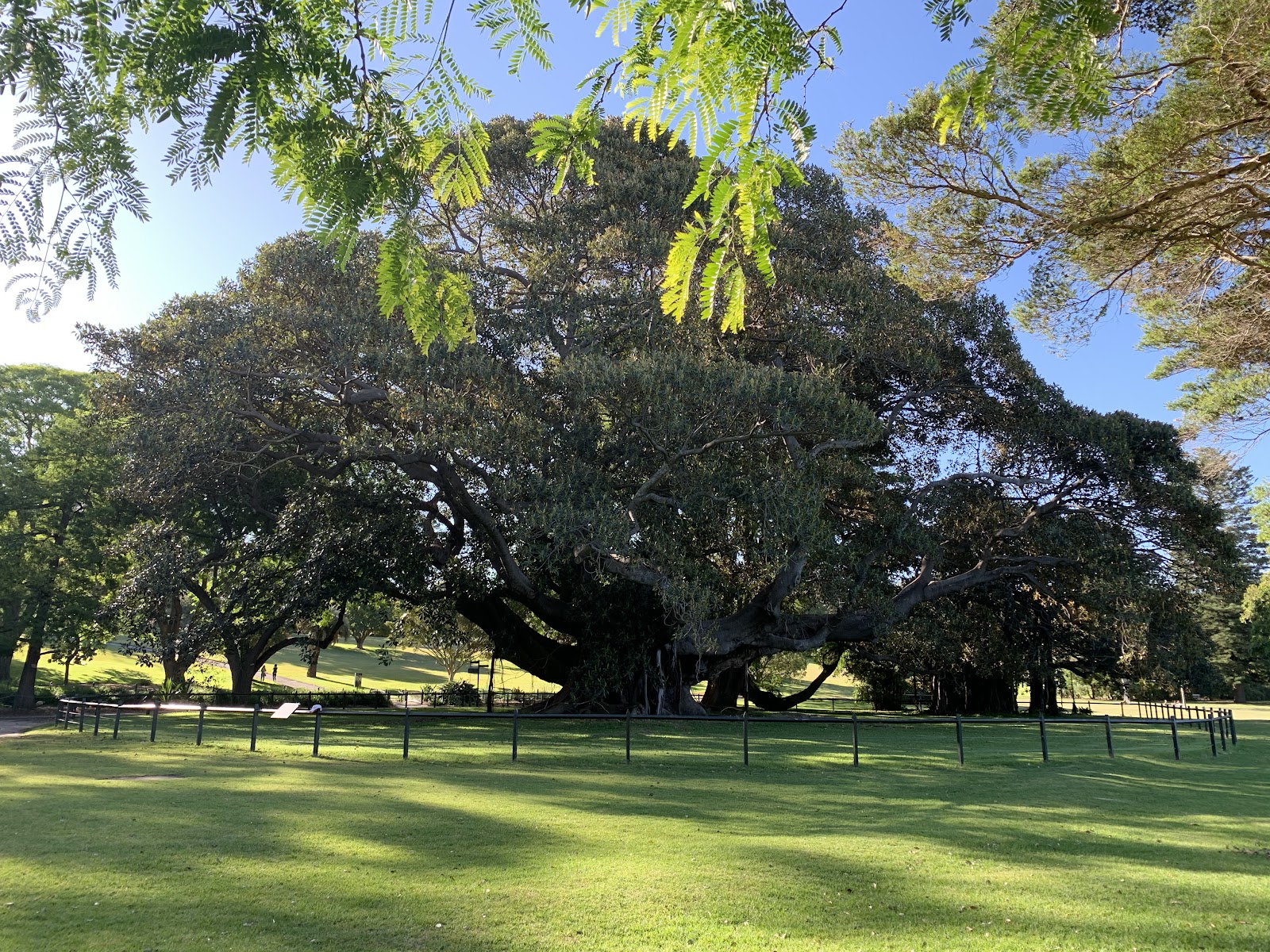 로열 보타닉 가든