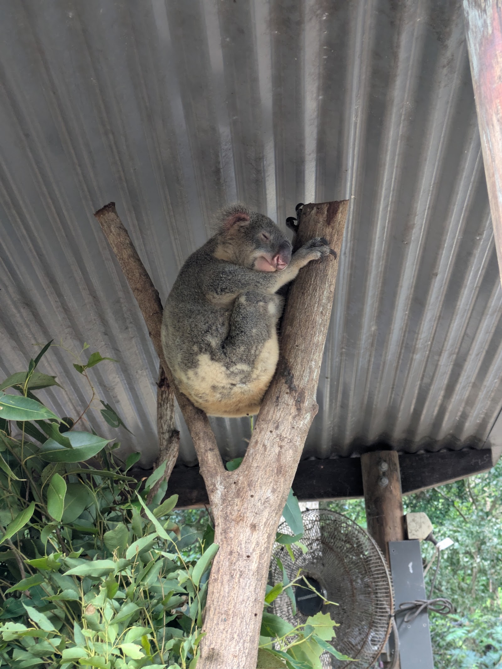 하틀리 악어 농장