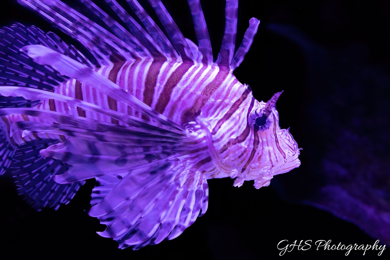 케언즈 아쿠아리움