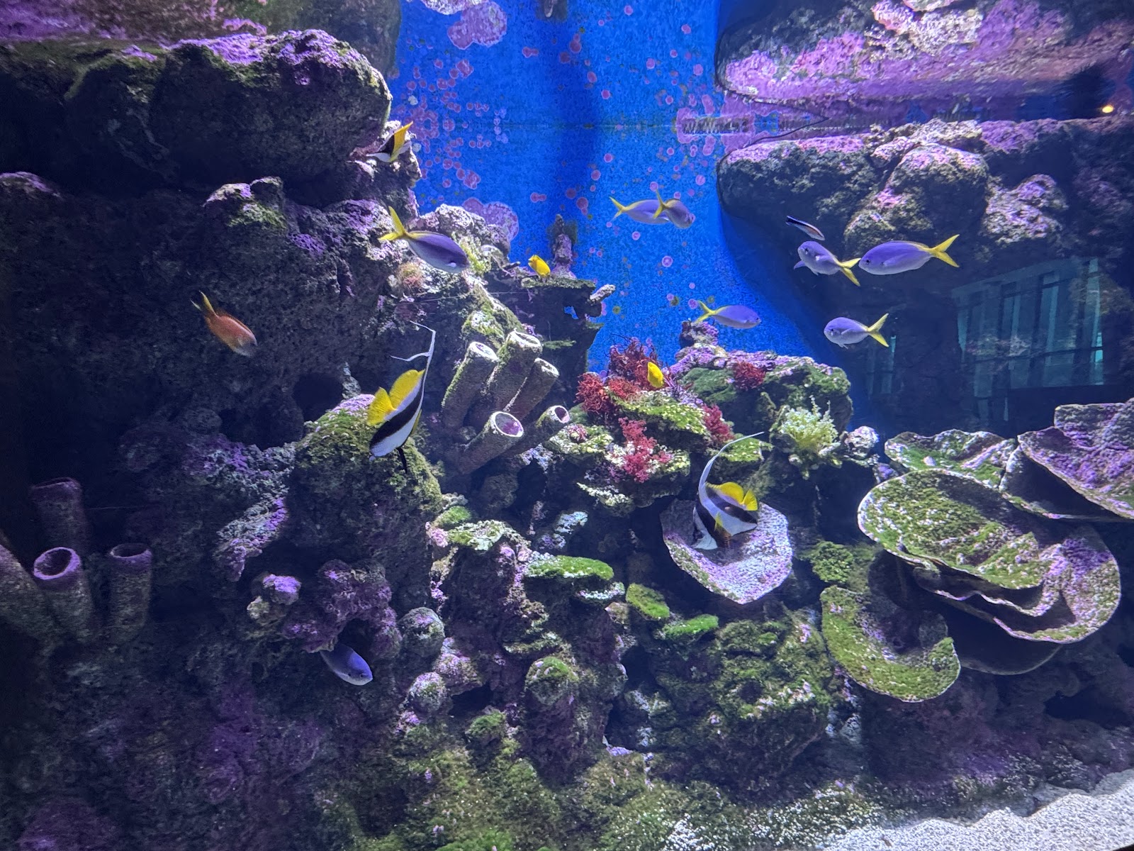 케언즈 아쿠아리움