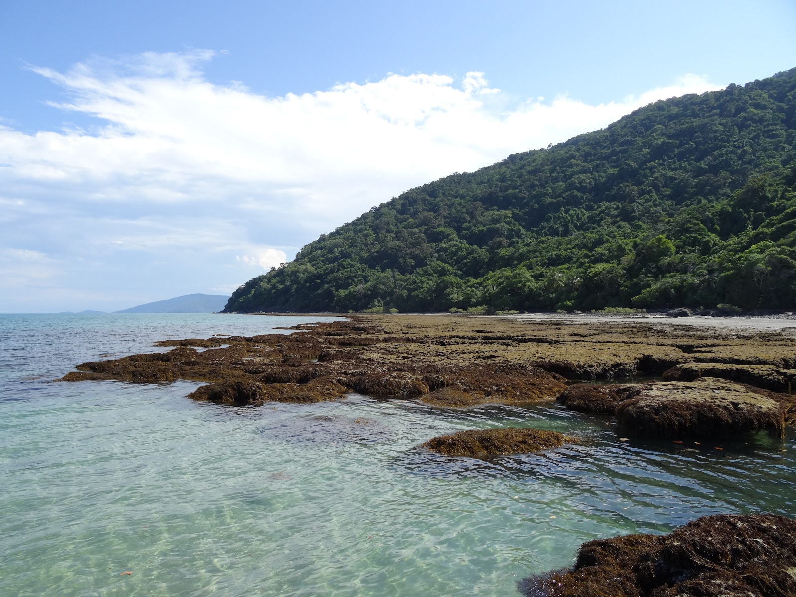 케이프 트리뷸레이션