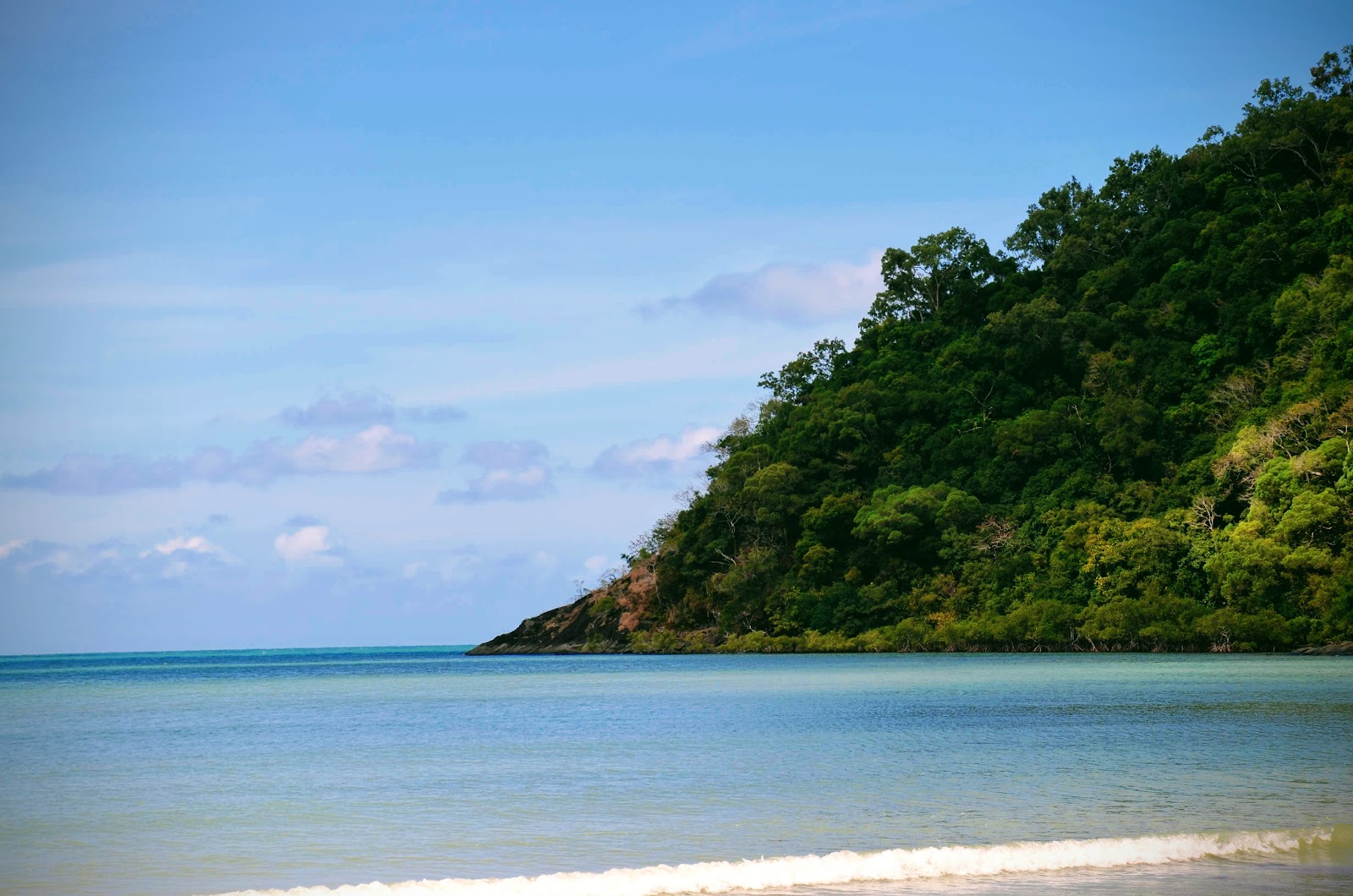 케이프 트리뷸레이션