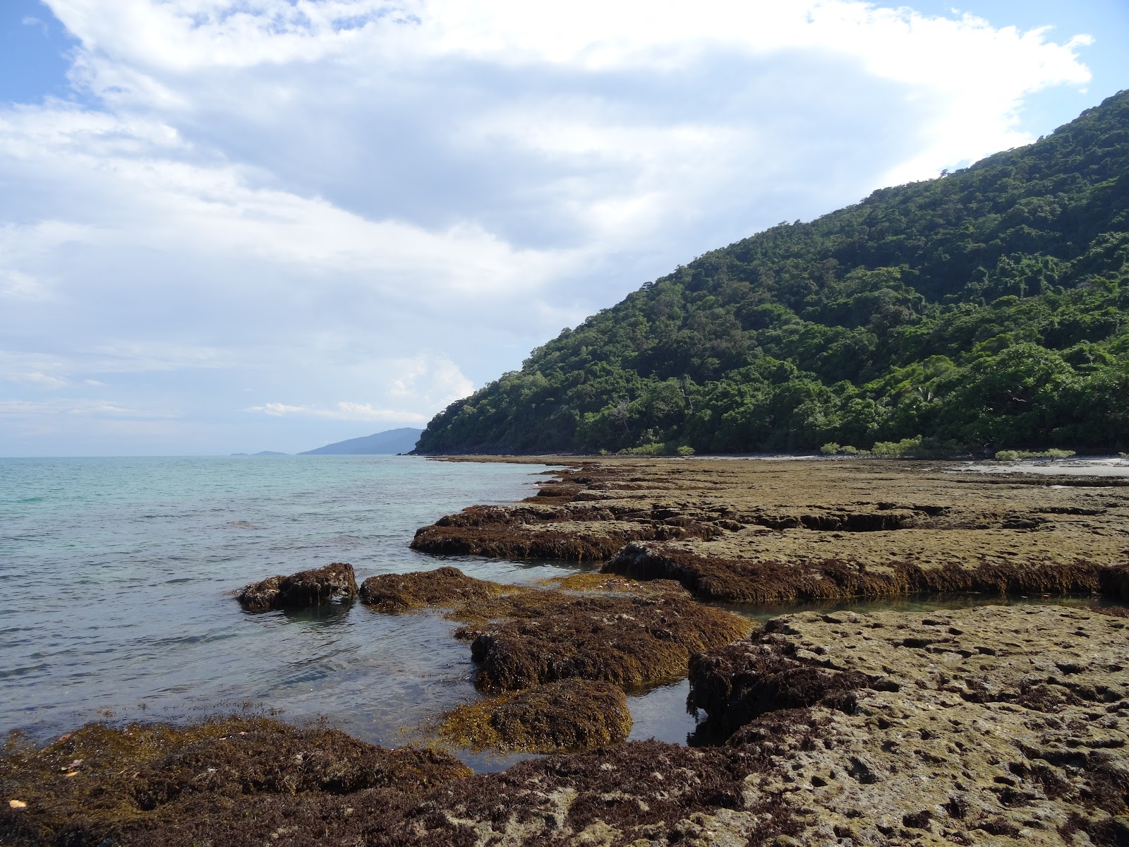 케이프 트리뷸레이션