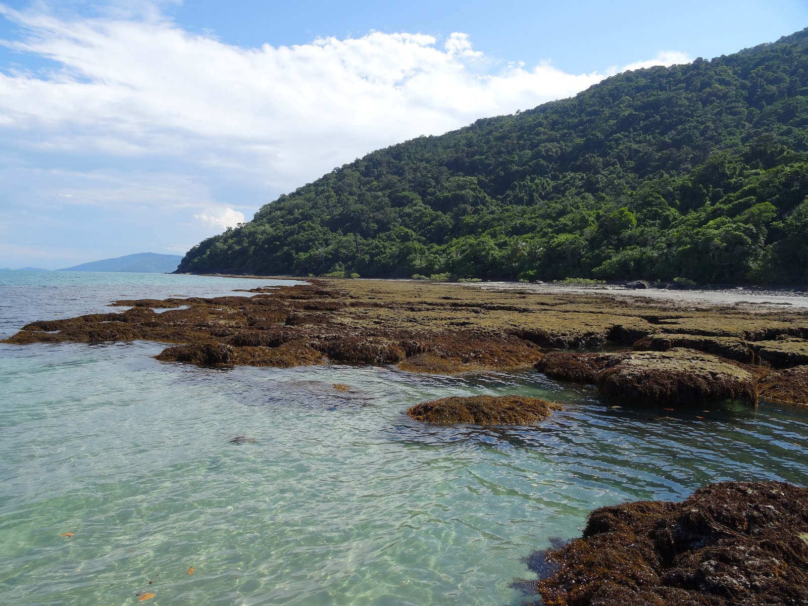 케이프 트리뷸레이션