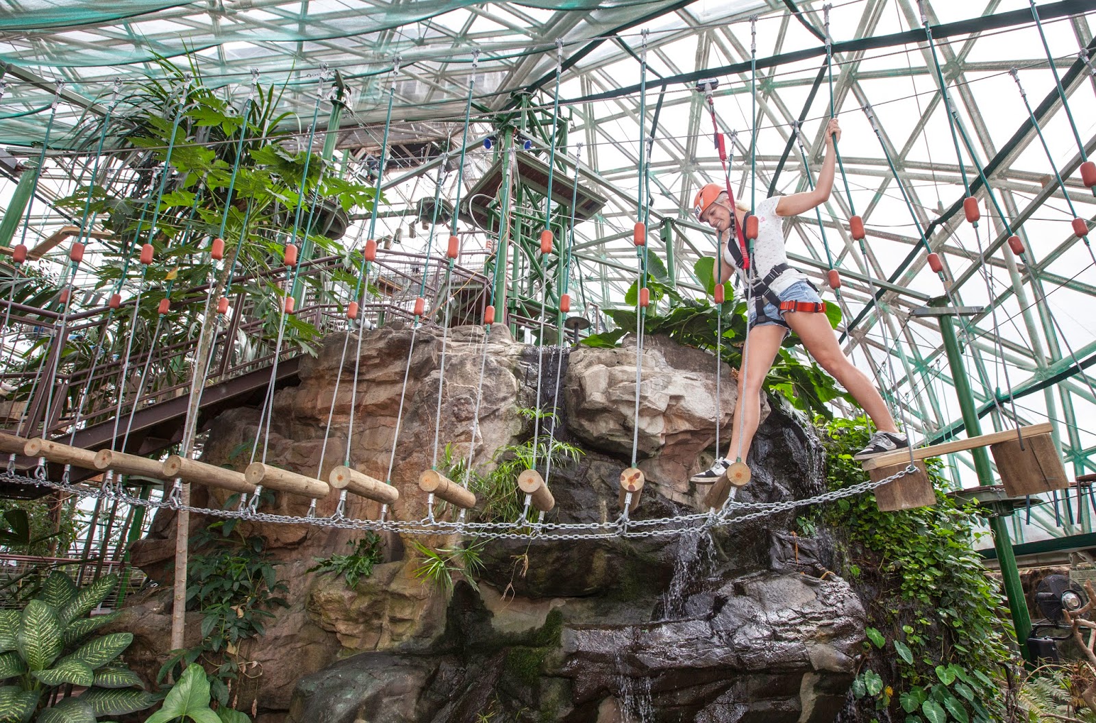 케언즈 와일드라이프 돔