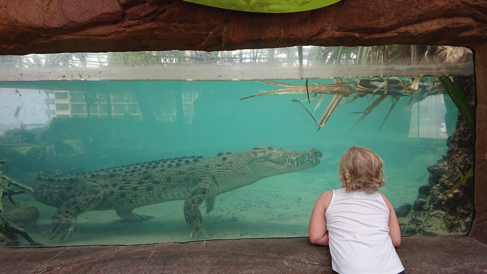 케언즈 와일드라이프 돔