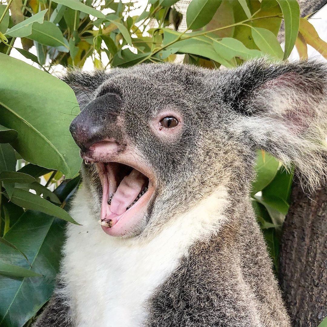 케언즈 와일드라이프 돔