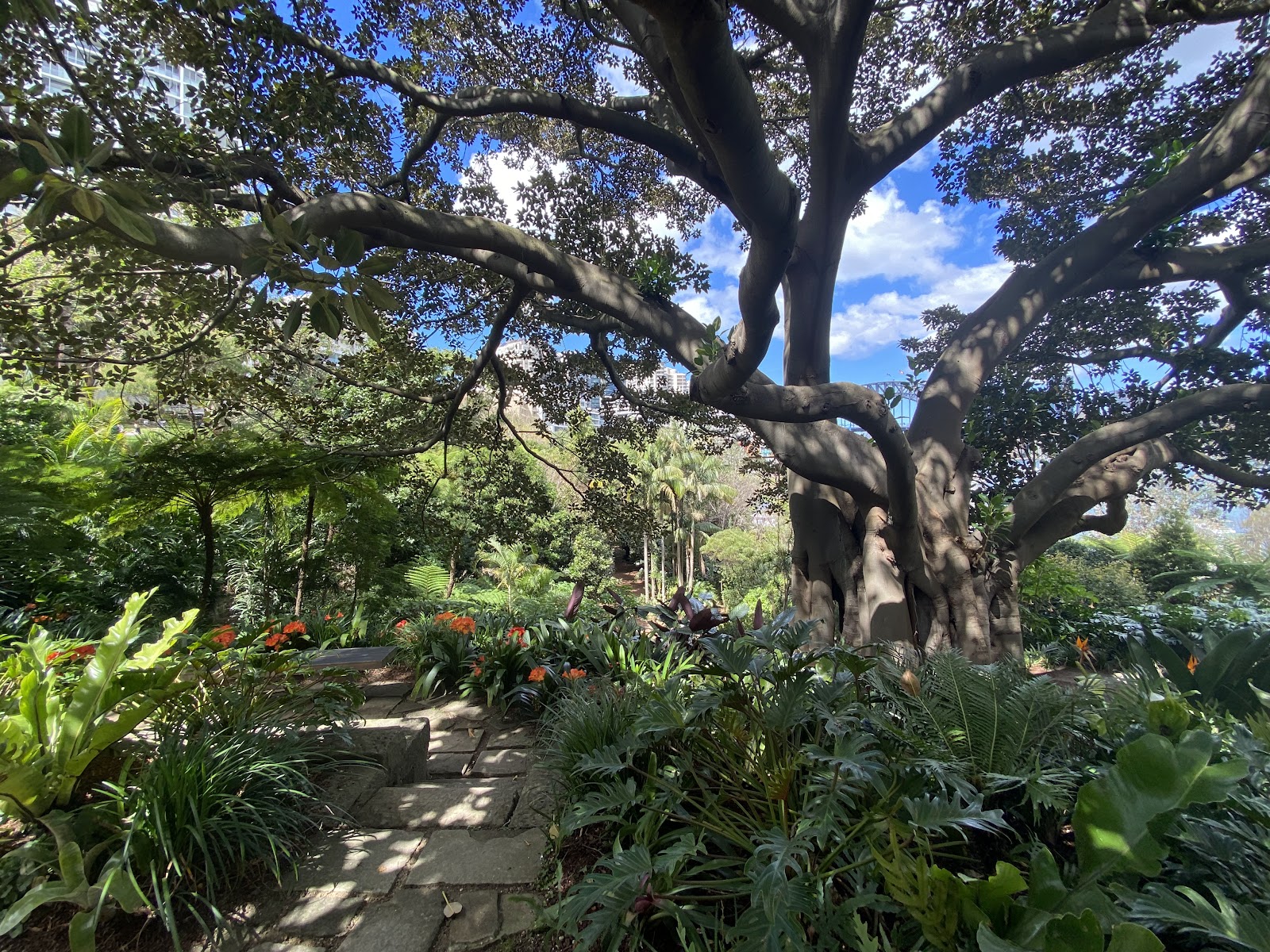 웬디 비밀 정원
