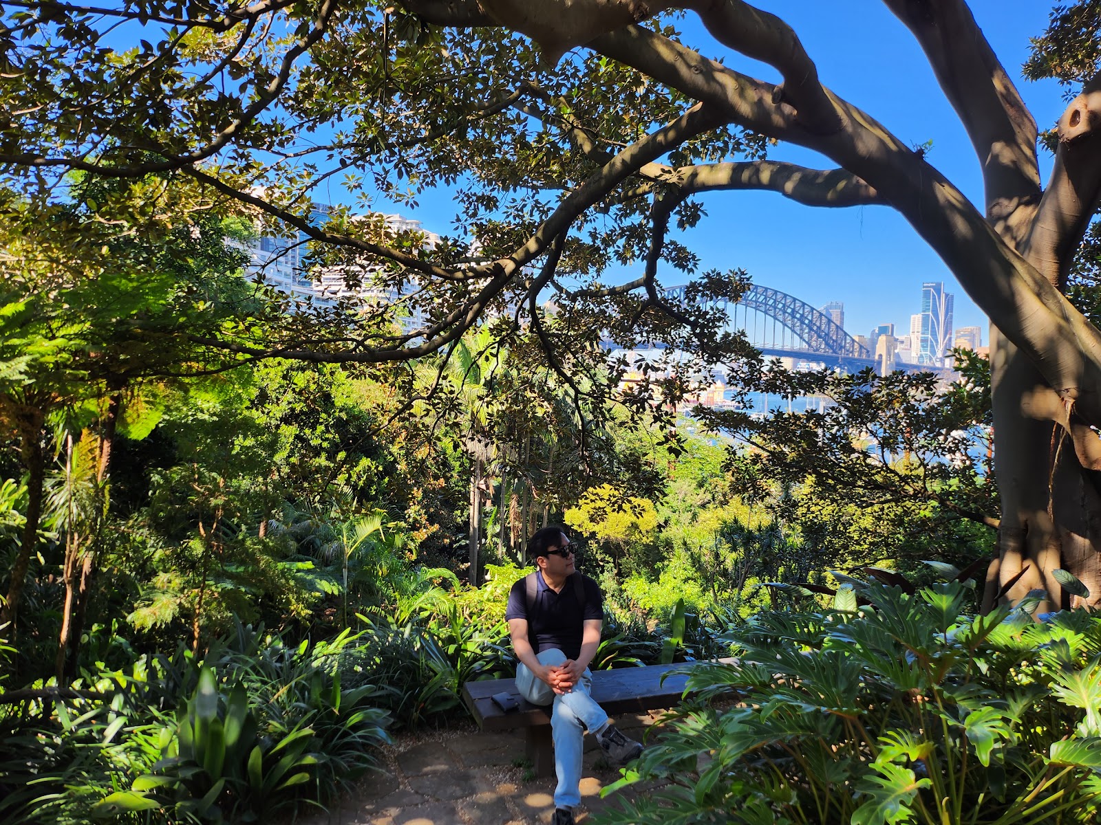 웬디 비밀 정원