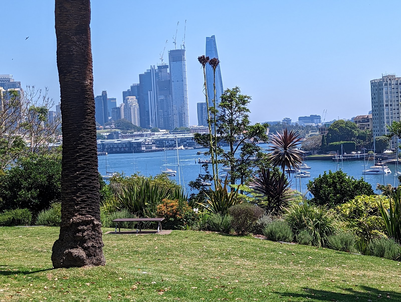 웬디 비밀 정원