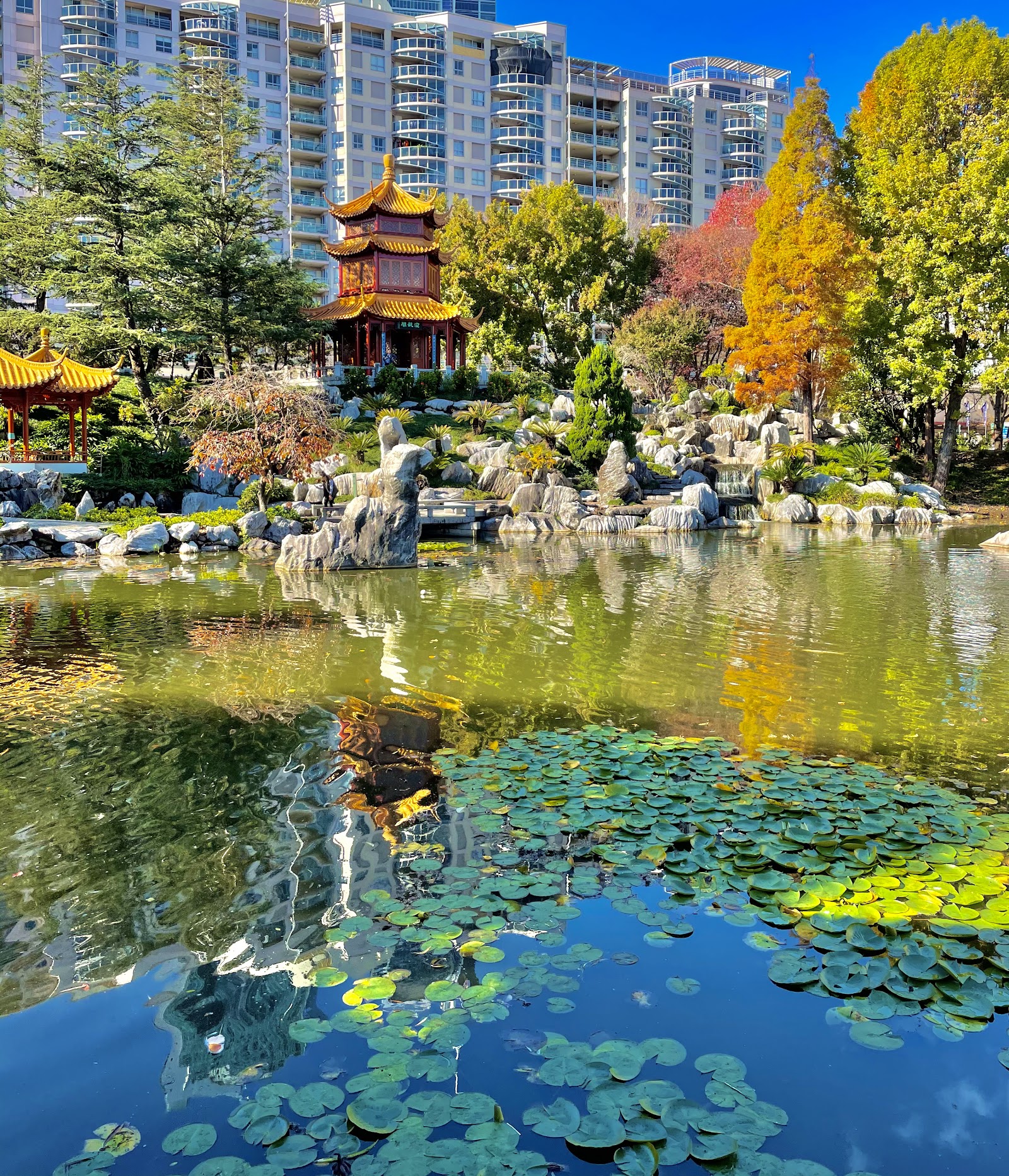 중국 우정의 정원