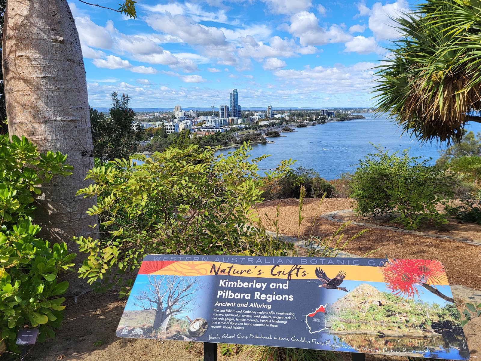 킹스 파크 & 식물원