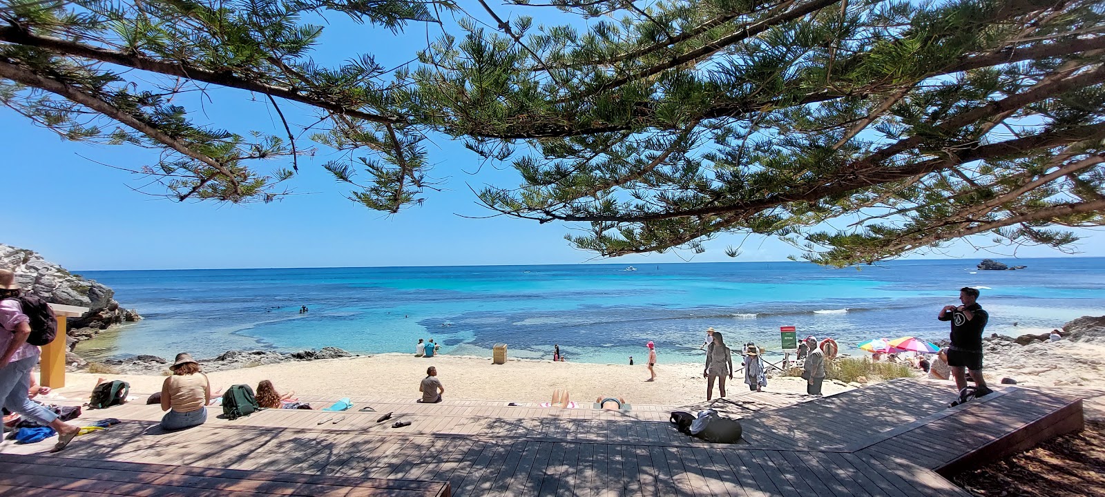 로트네스트 아일랜드