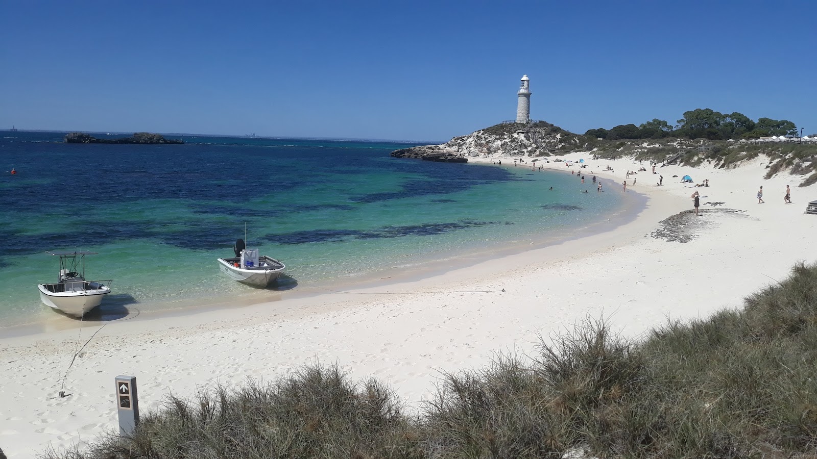 로트네스트 아일랜드