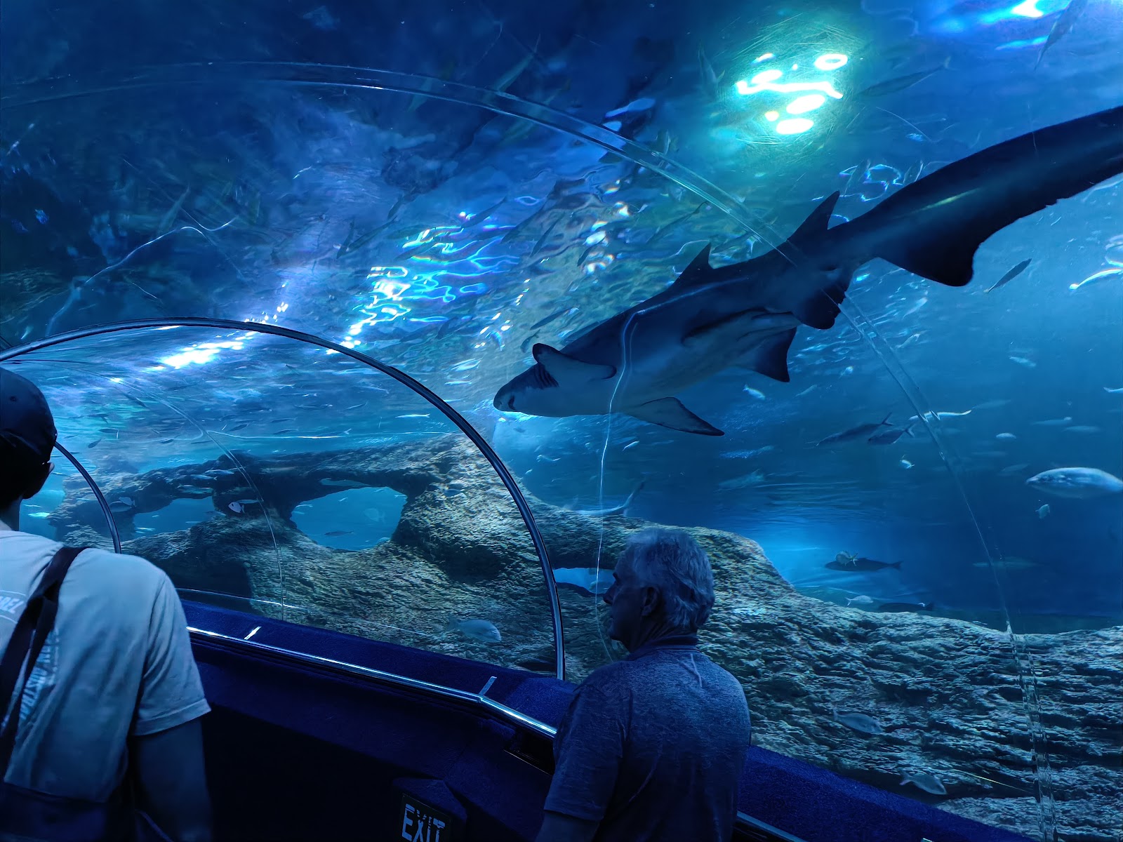 AQWA 서호주 수족관