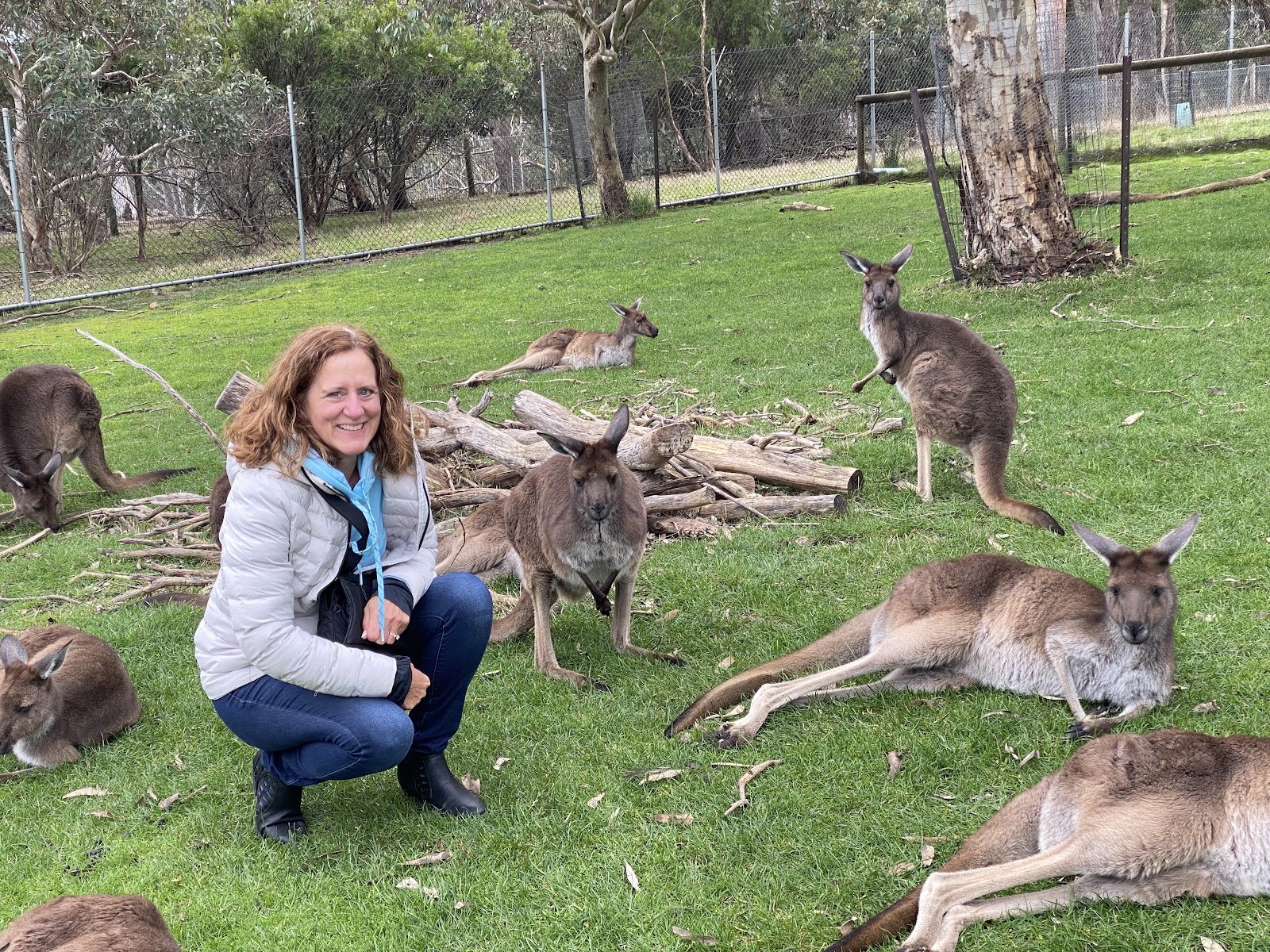 클랜드 야생동물 공원