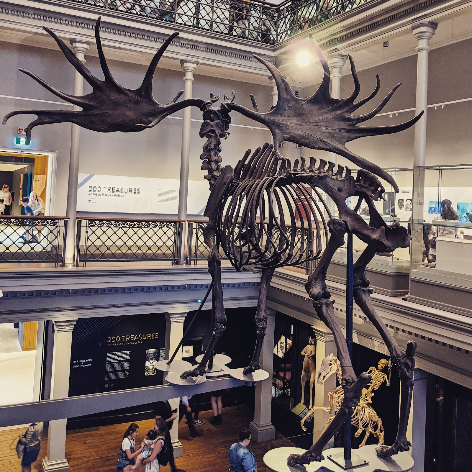 호주 박물관