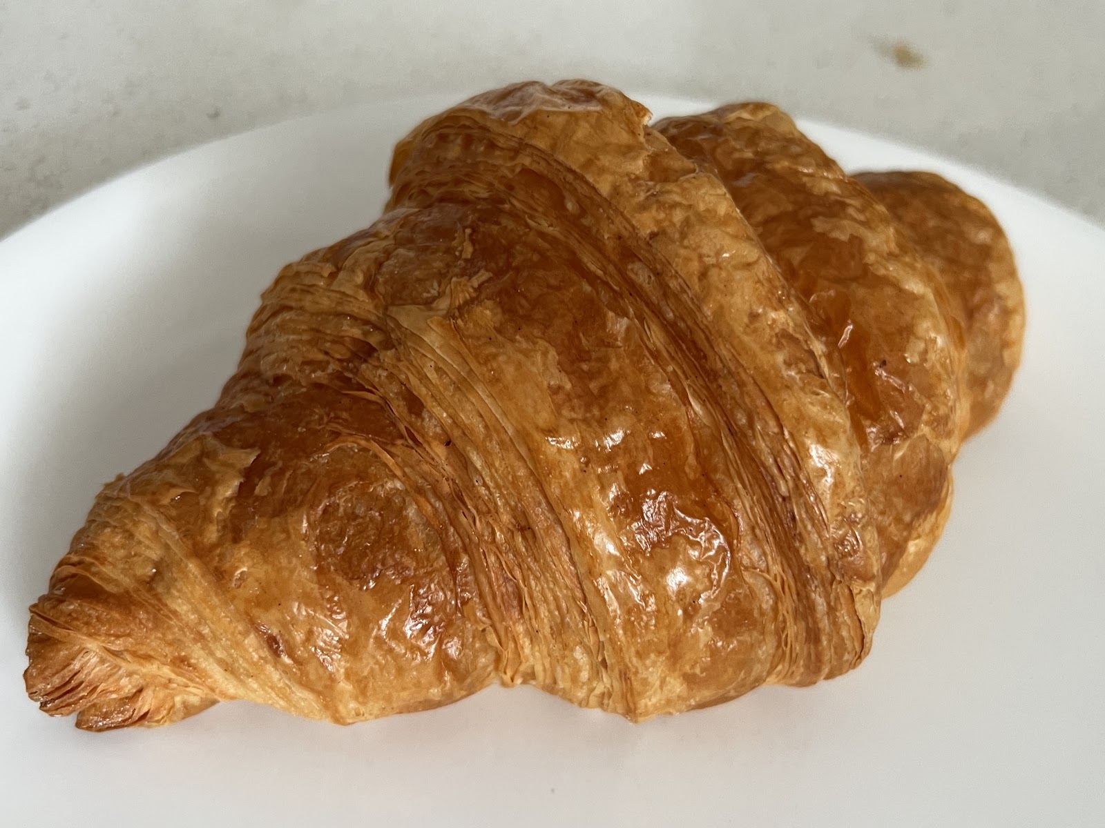 아보츠 앤 키니