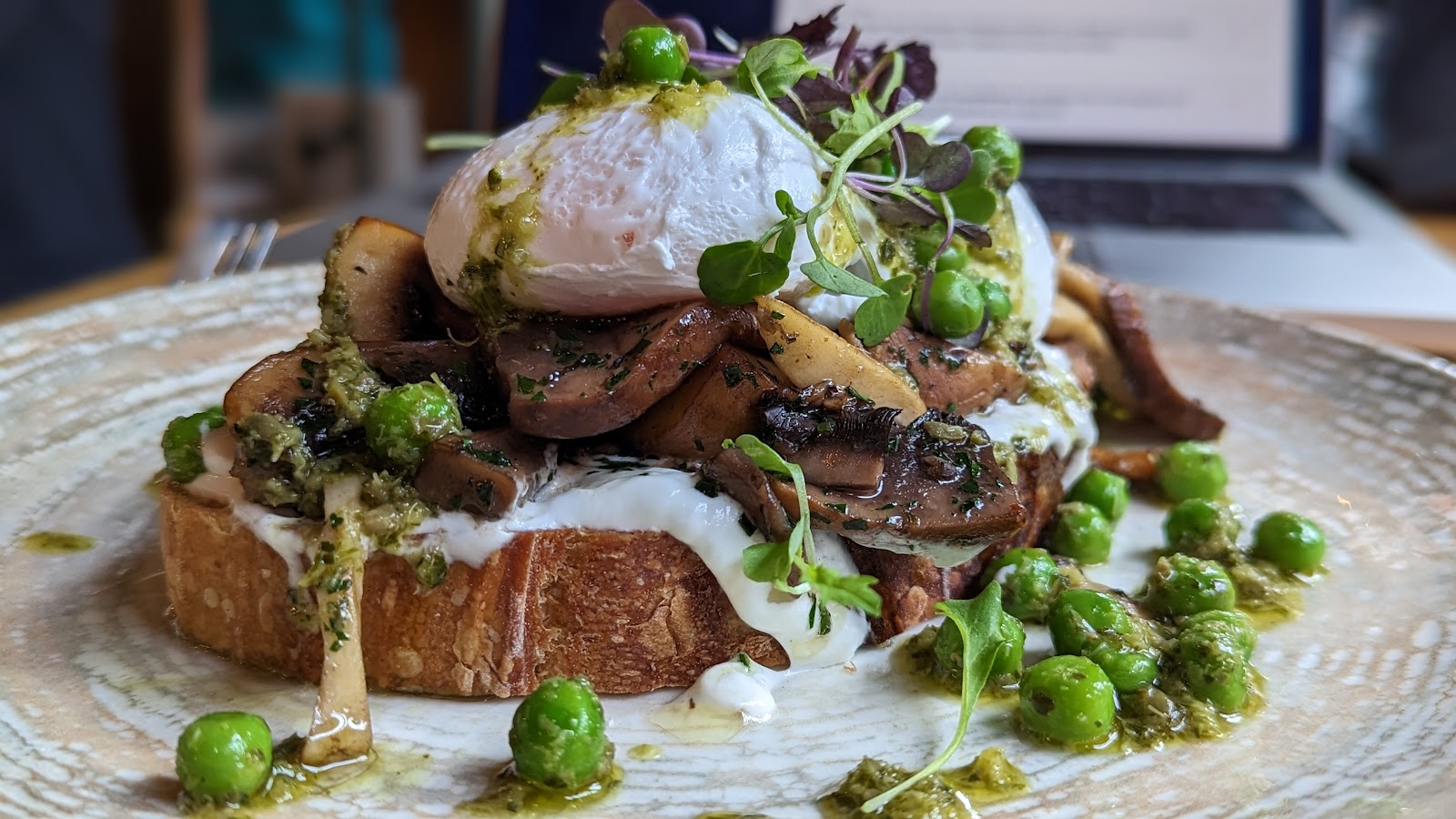 익스체인지 스페셜티 커피