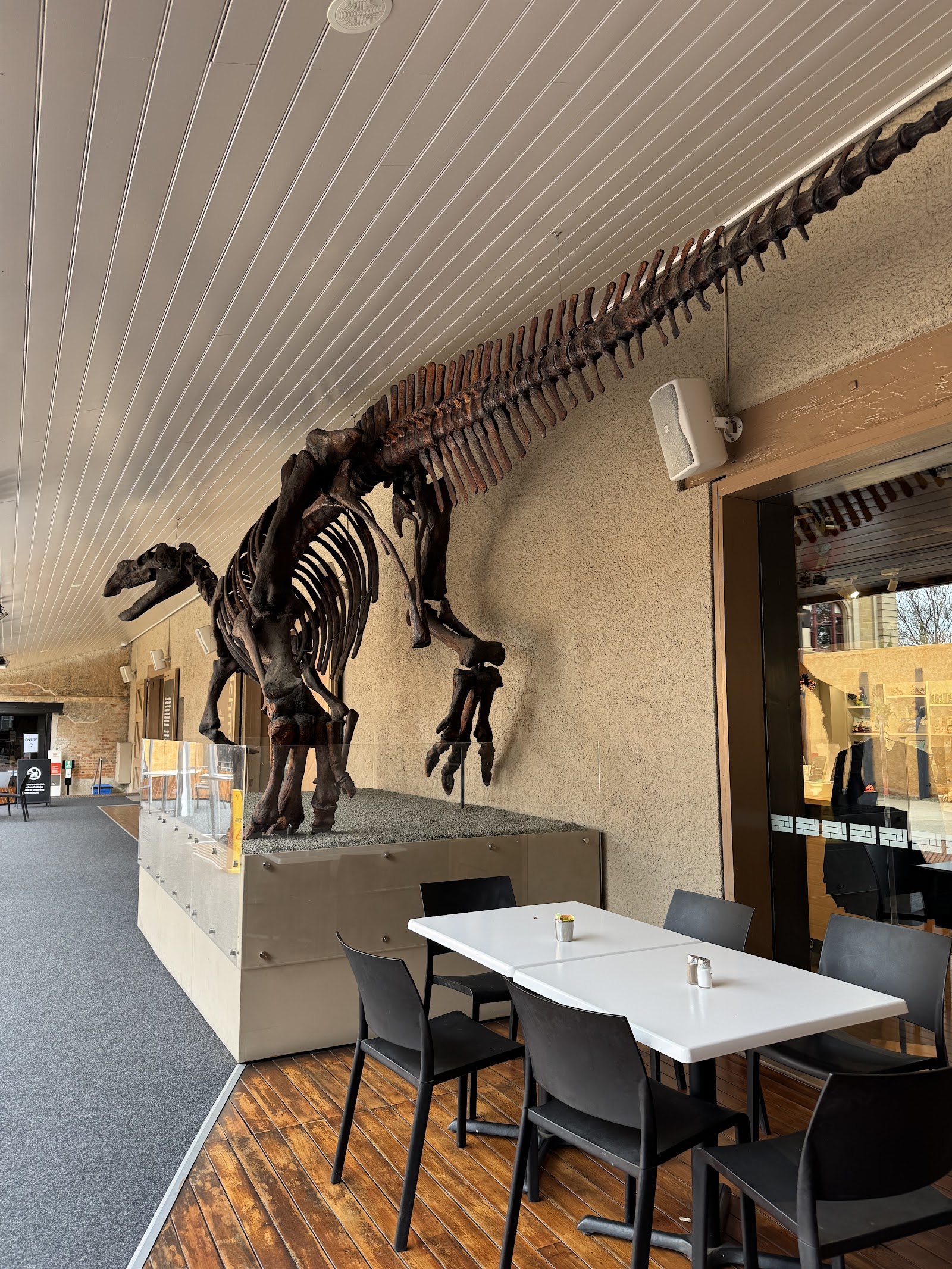 태즈마니아 박물관