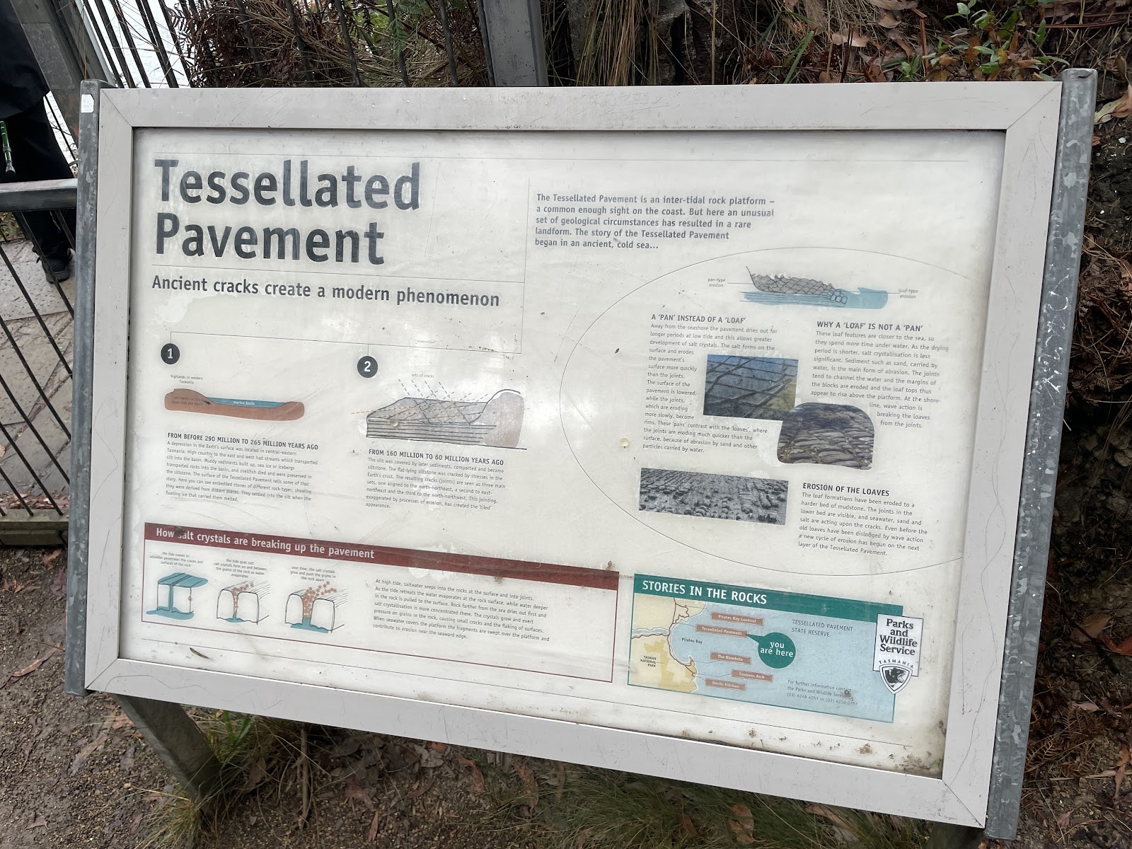 테셀레이티드 페이브먼트