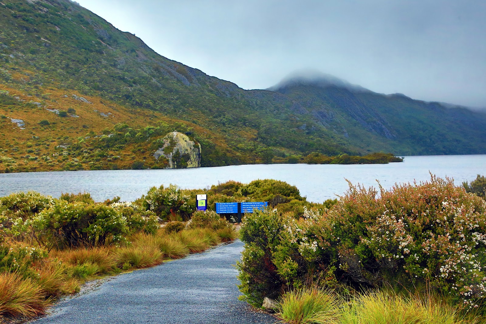 도브 레이크 순환 트레일