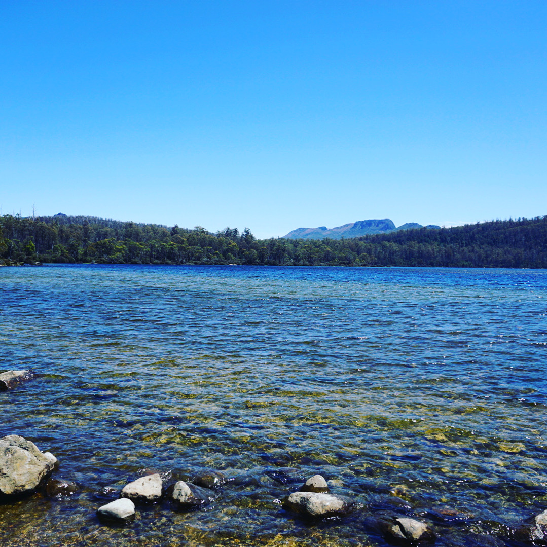 레이크 세인트 클레어