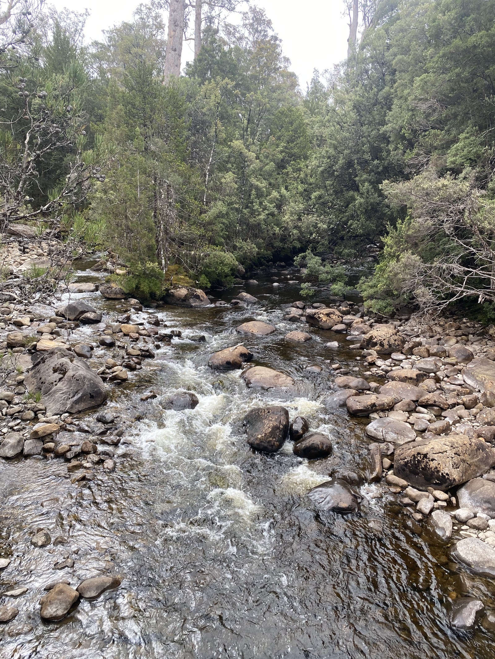 레이크 세인트 클레어