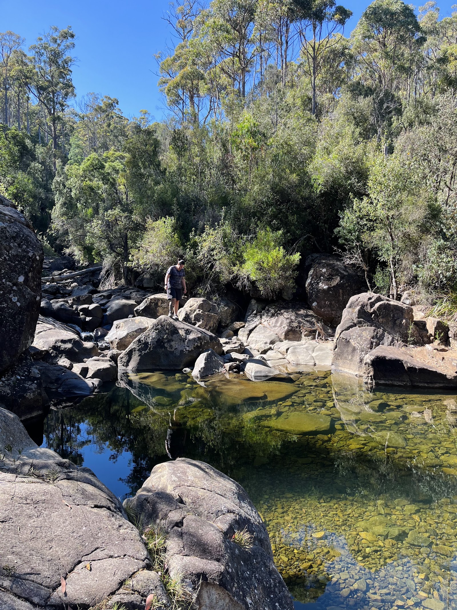 발룸 숲 산책로