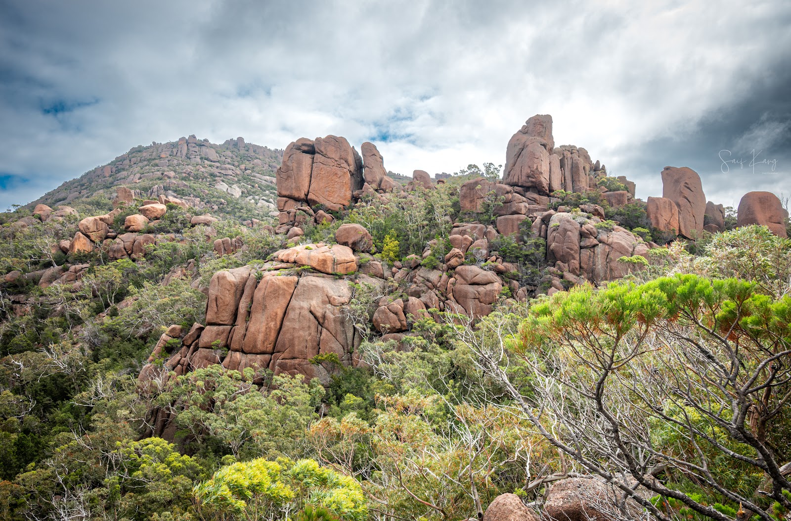 프레이시넷 방문자센터