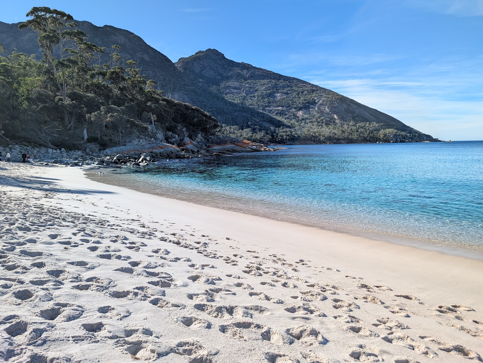 프레이시넷 방문자센터