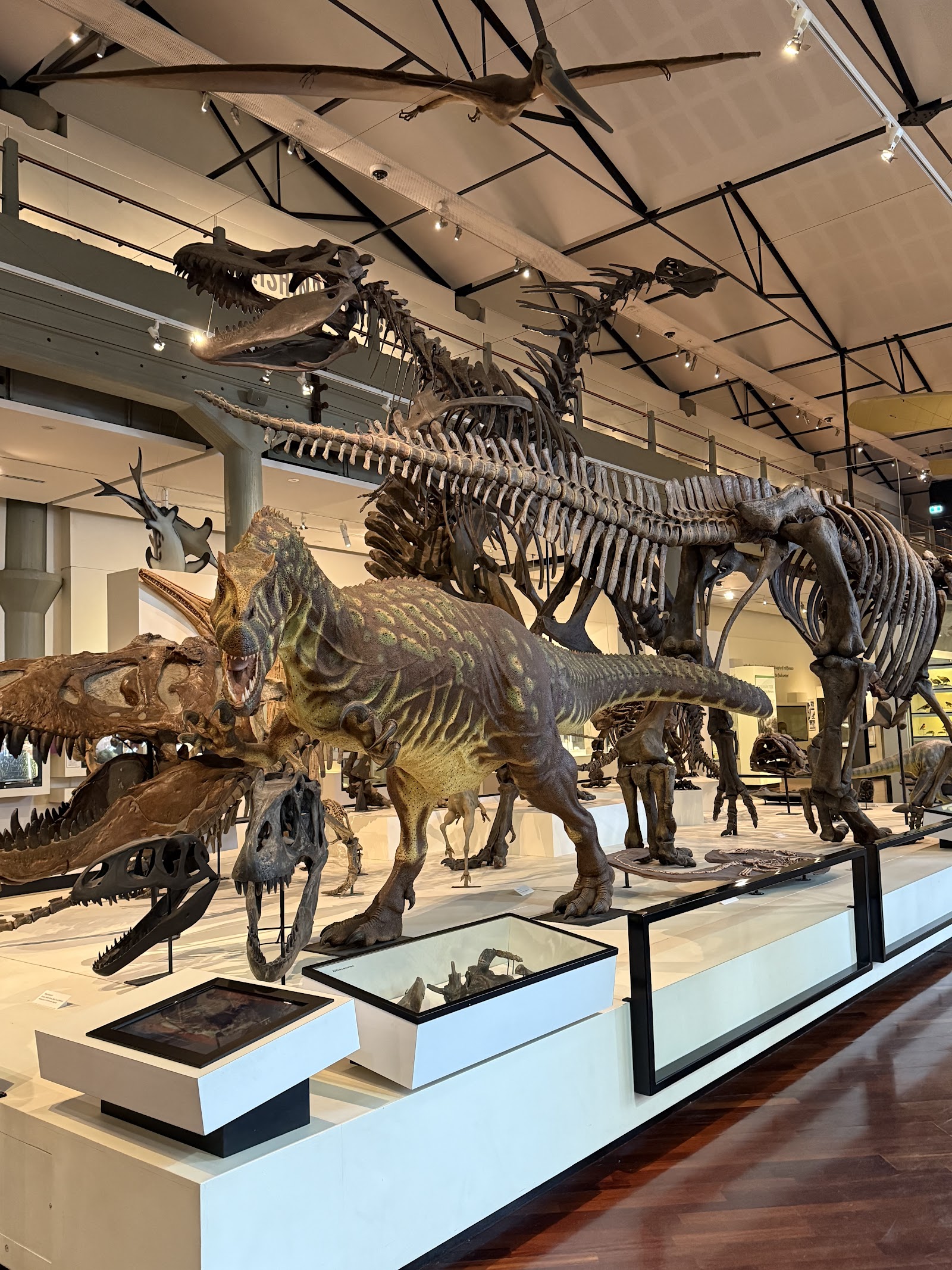 퀸 빅토리아 박물관