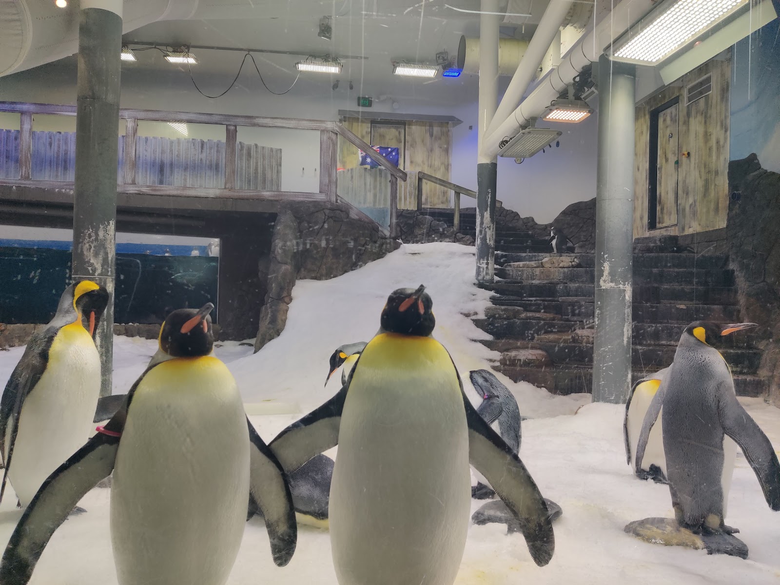 시드니 아쿠아리움