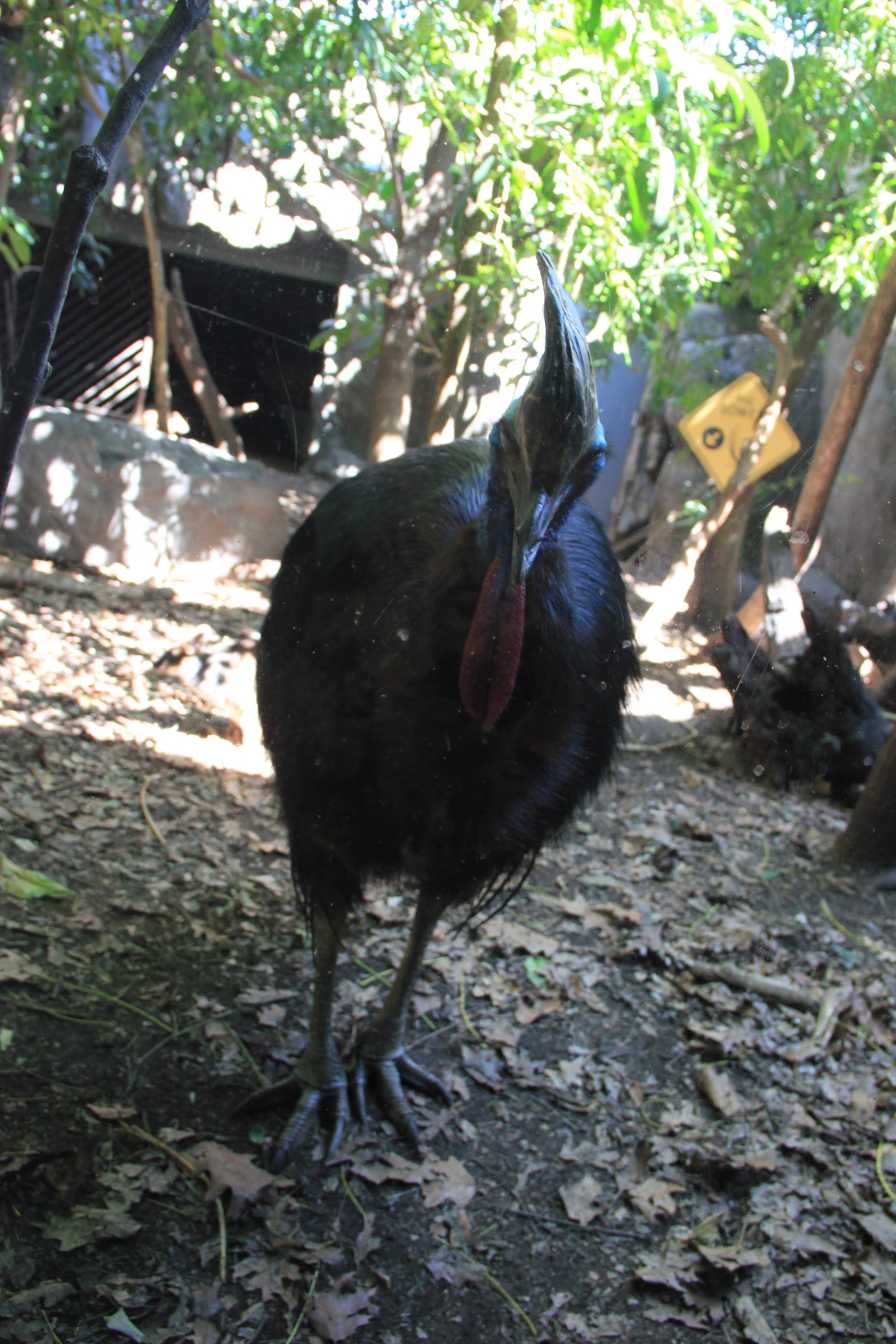 와일드라이프 시드니