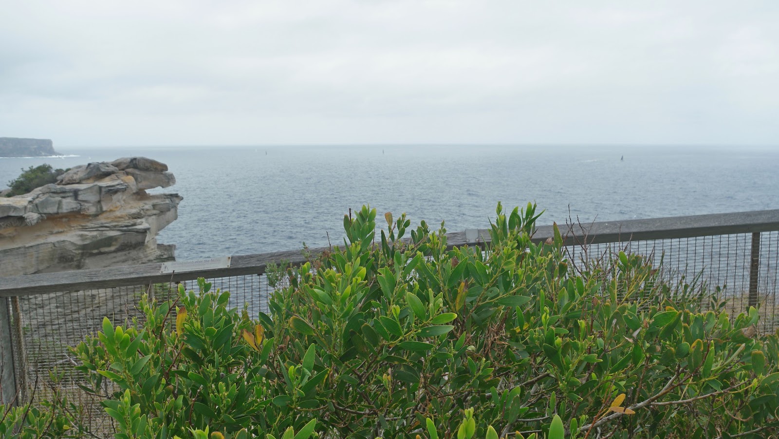 갭 파크 (왓슨스 베이)