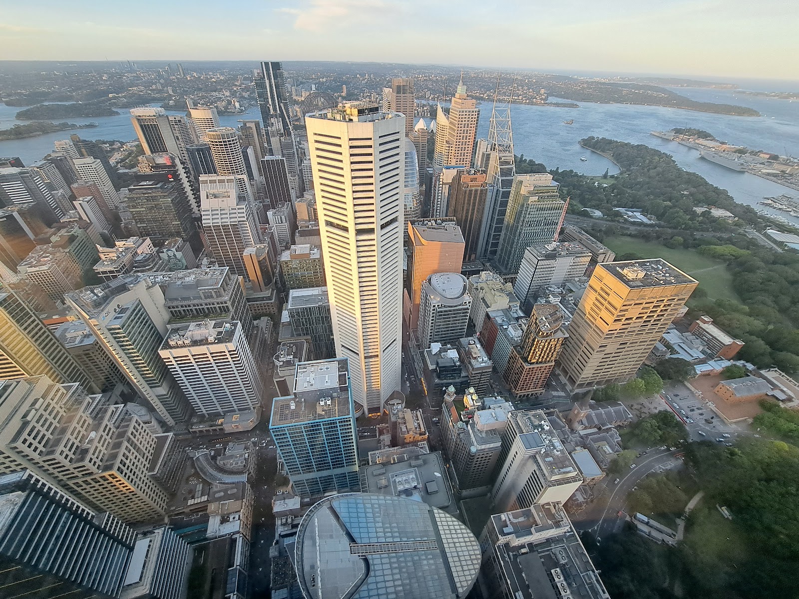 시드니 타워 아이