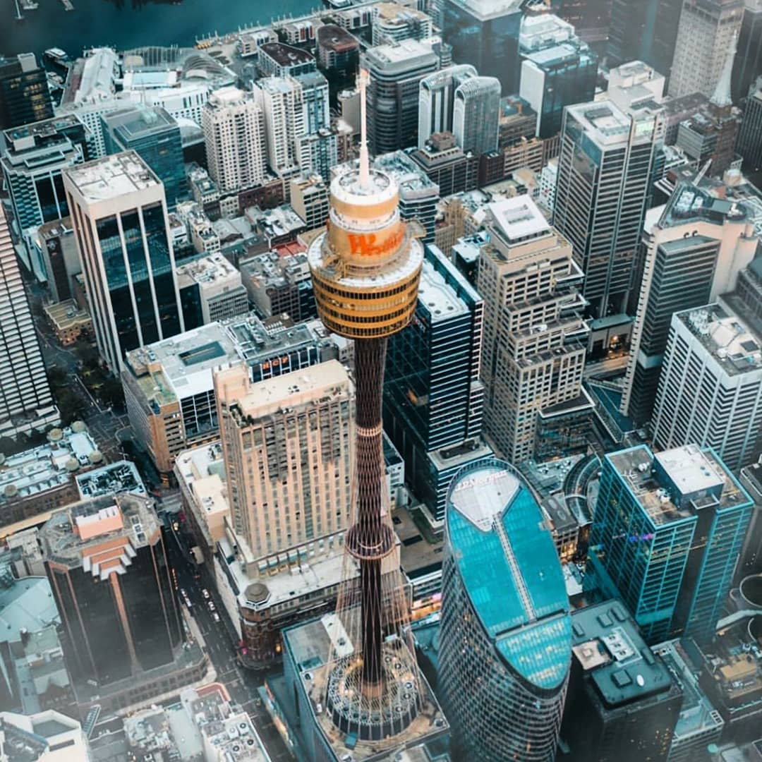 시드니 타워 아이