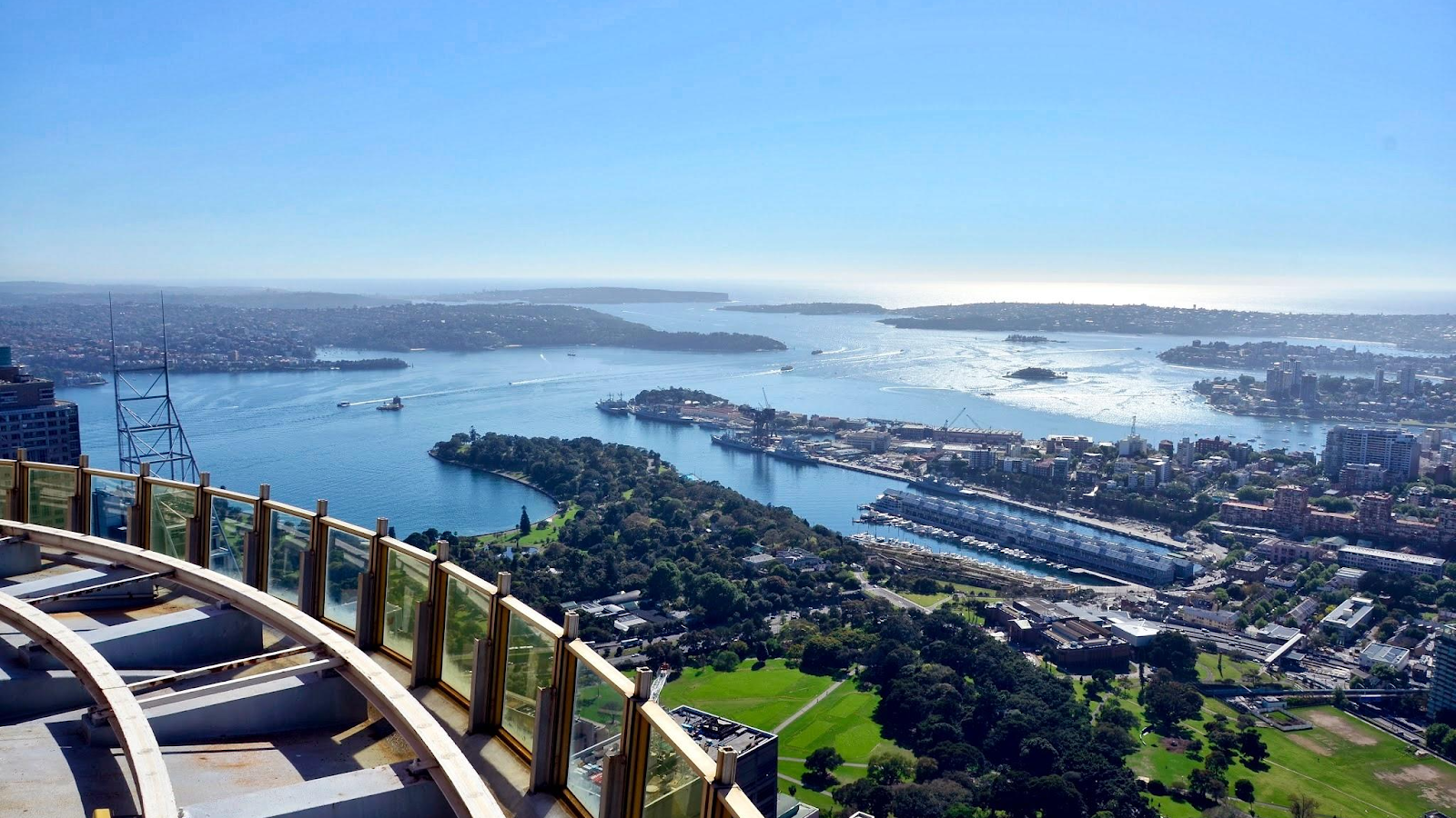 시드니 타워 아이