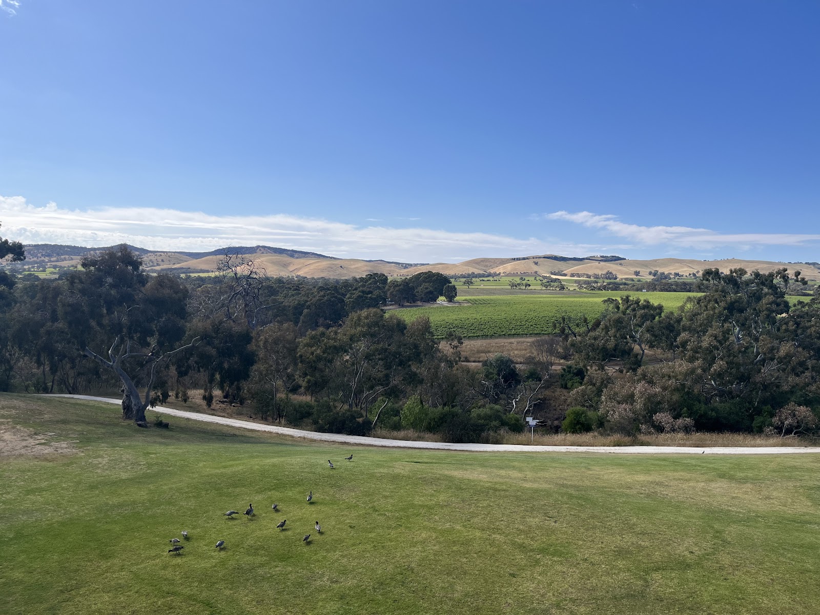 The Cellar Kitchen Restaurant