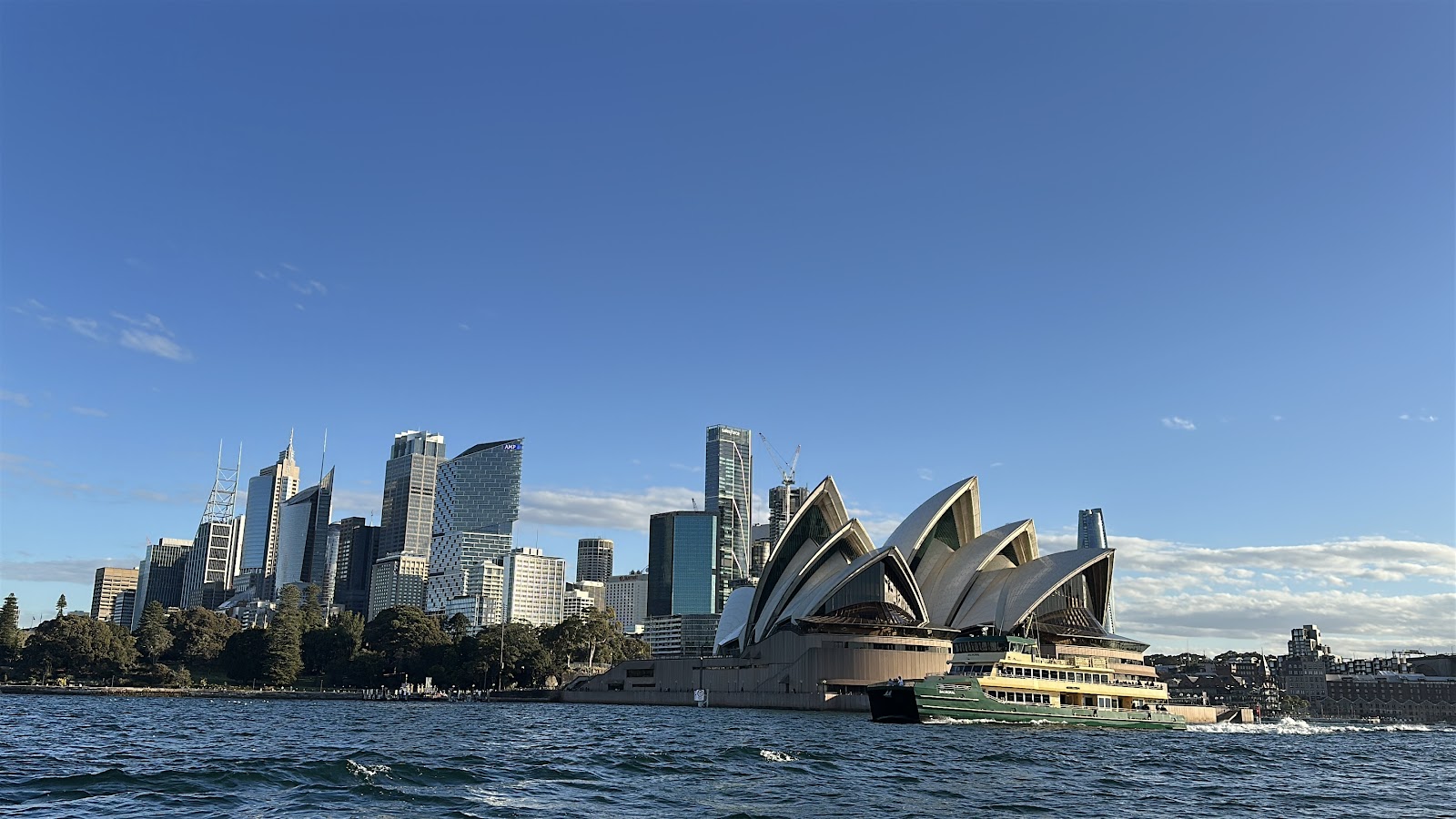 시드니 고래 관광