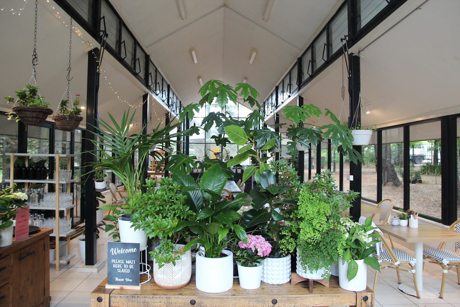 Sorensen's Glasshouse and Gardens