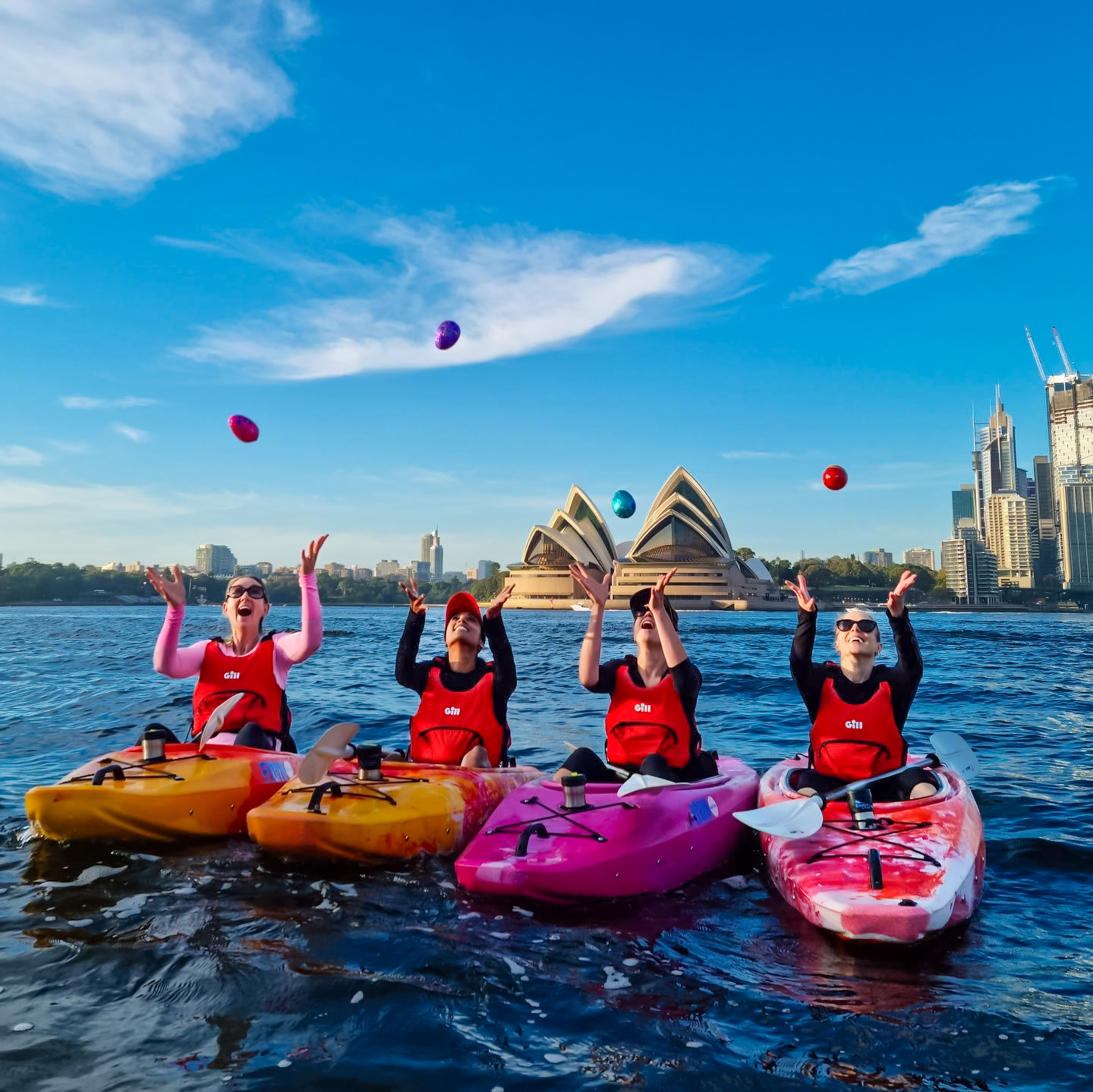 시드니 하버 카약