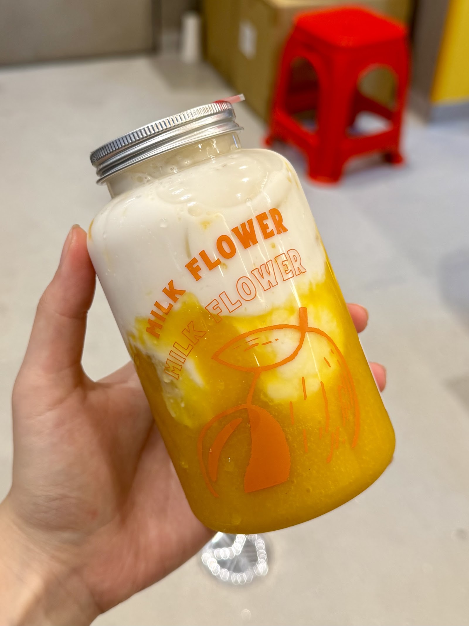 Milk Flower Blacktown